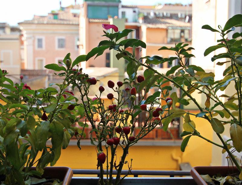Couette-café Irooms Pantheon Rome